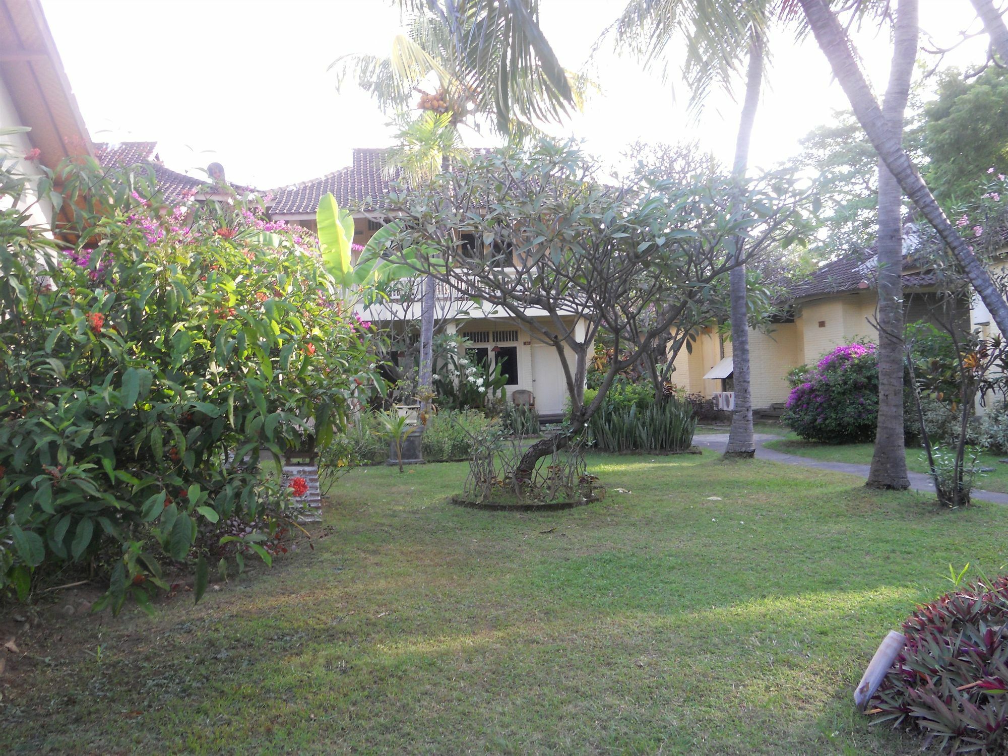 Bali Lovina Beach Cottages Buleleng Exterior foto