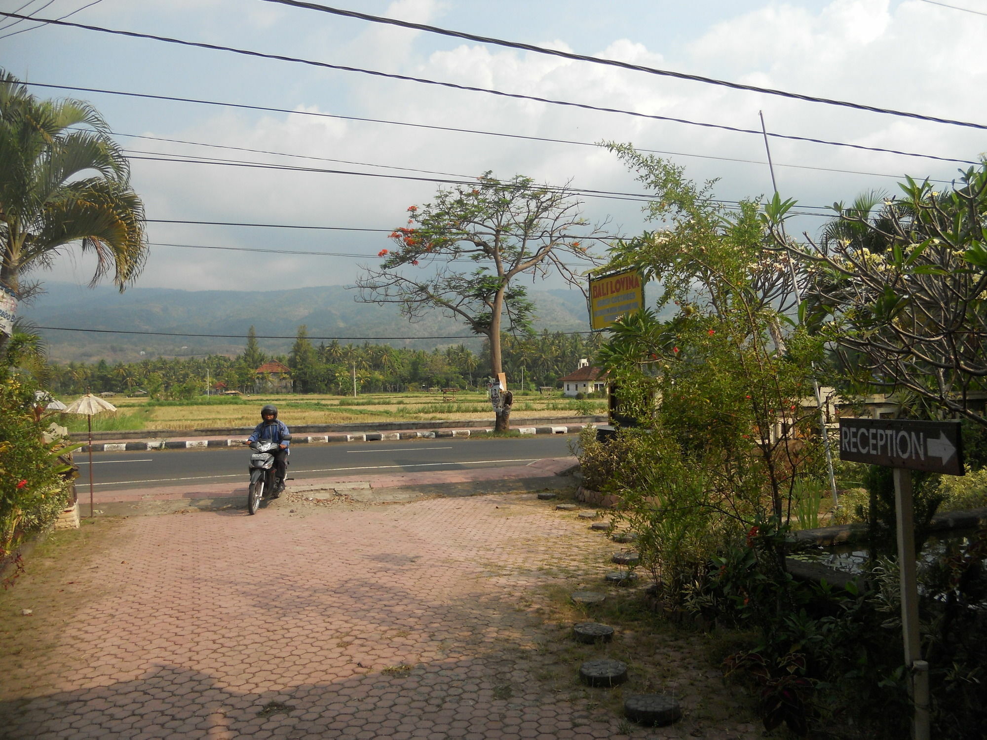 Bali Lovina Beach Cottages Buleleng Exterior foto
