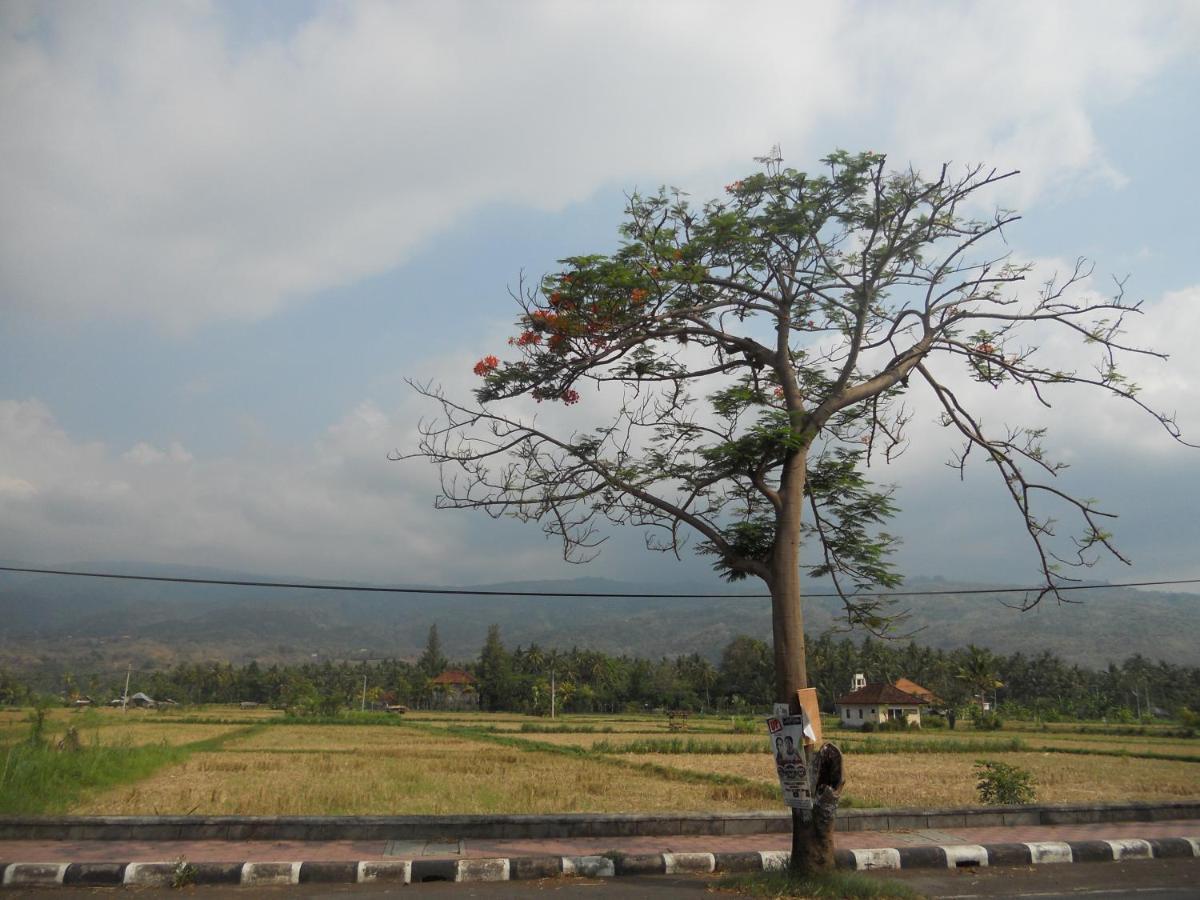 Bali Lovina Beach Cottages Buleleng Exterior foto